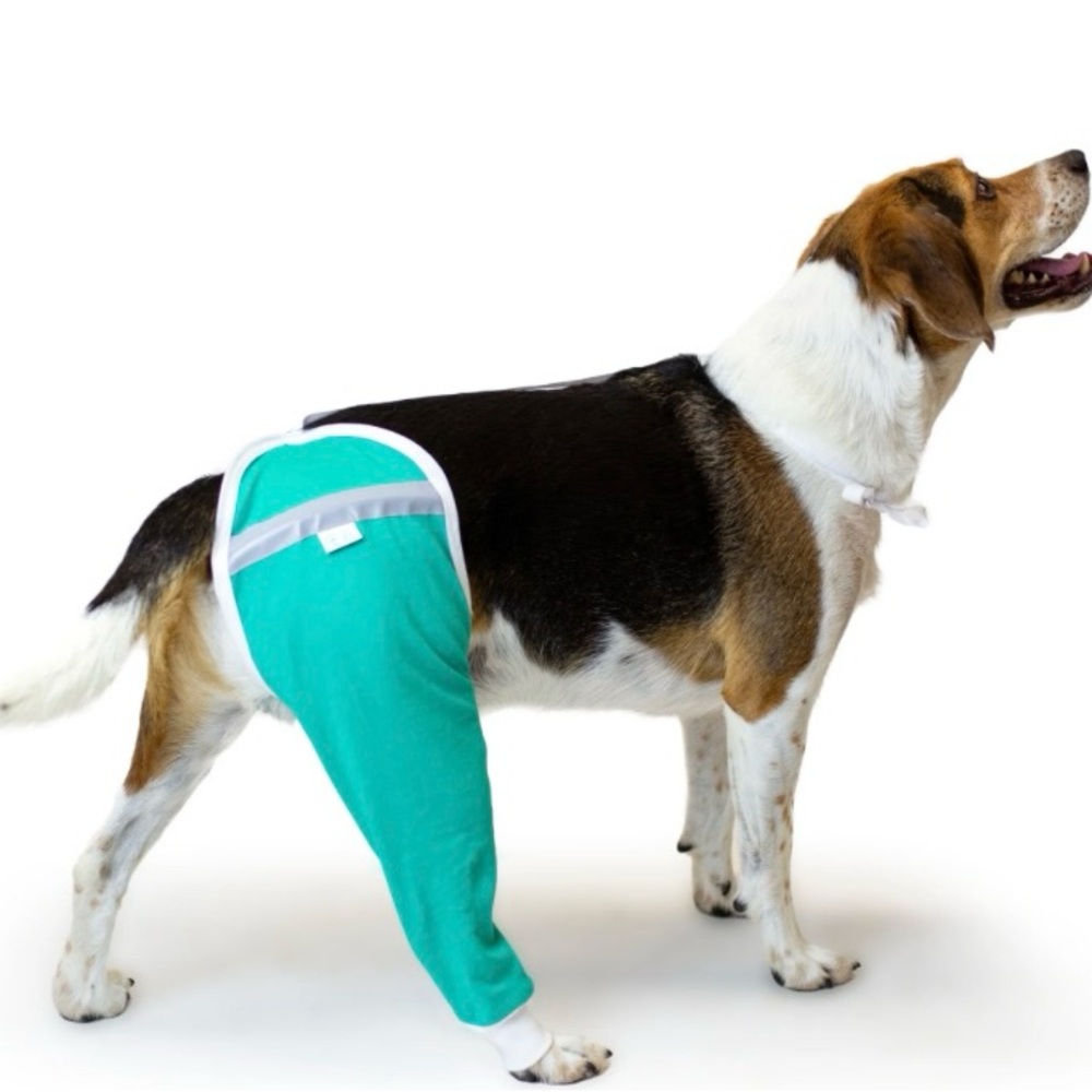 Hip and Thigh Protective Sleeve for Dogs